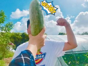 网红爆料吃瓜718,718事件背后的惊人真相