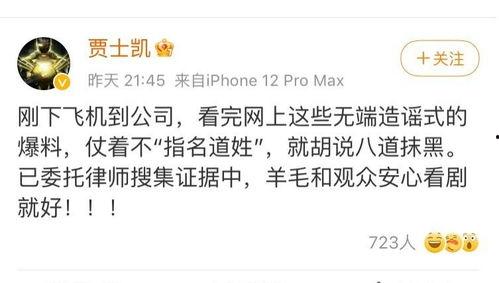 吃娱乐圈的瓜的文案,揭秘明星背后的故事与真相