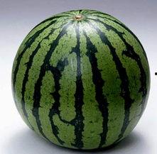 吃瓜群有哪些,网络社交的趣味与争议